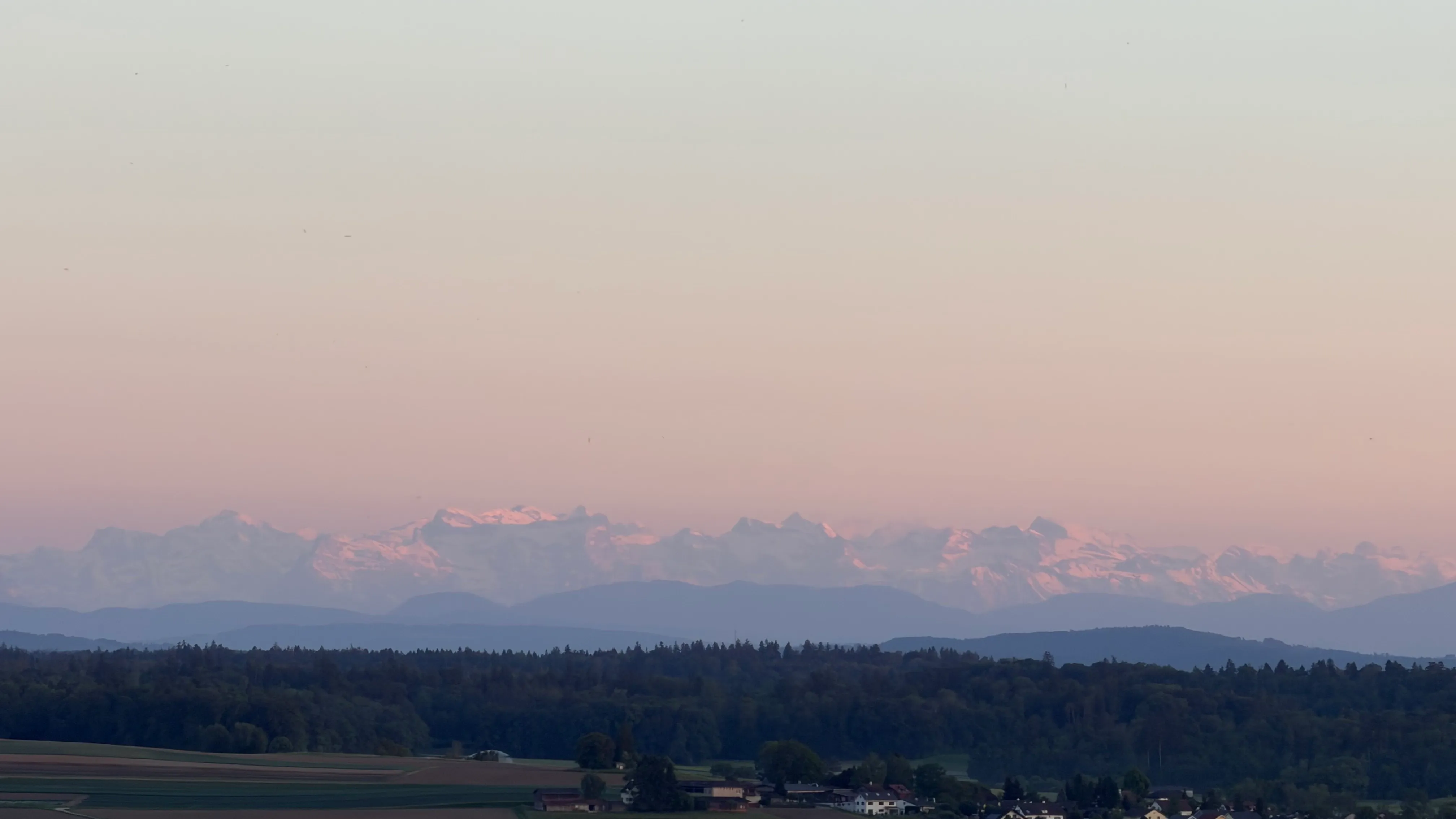 Alpenglühen über dem Hochrhein - Blick von Gailingen auf die Alpenkette